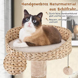 Kissapuu 6 tasoa 164 cm beige
